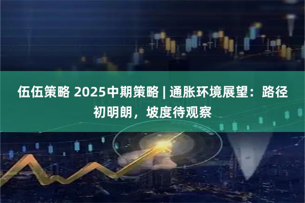伍伍策略 2025中期策略 | 通胀环境展望：路径初明朗，坡度待观察