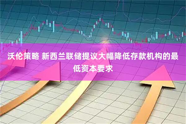 沃伦策略 新西兰联储提议大幅降低存款机构的最低资本要求