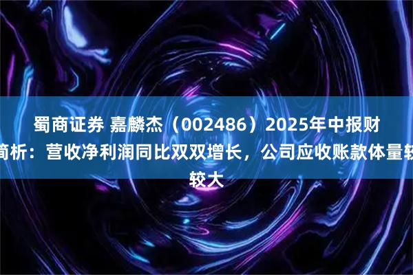 蜀商证券 嘉麟杰（002486）2025年中报财务简析：营收净利润同比双双增长，公司应收账款体量较大