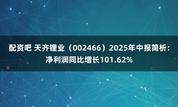配资吧 天齐锂业（002466）2025年中报简析：净利润同比增长101.62%