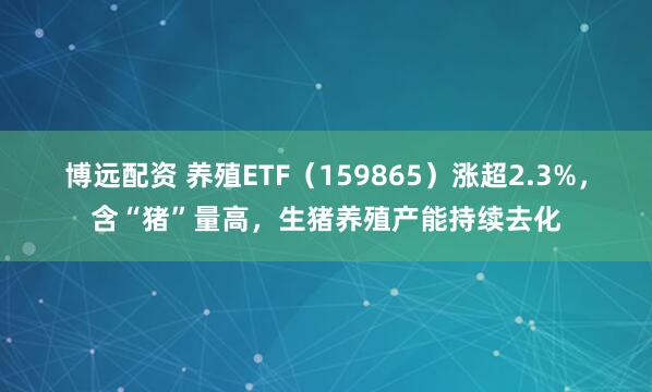 博远配资 养殖ETF（159865）涨超2.3%，含“猪”量高，生猪养殖产能持续去化